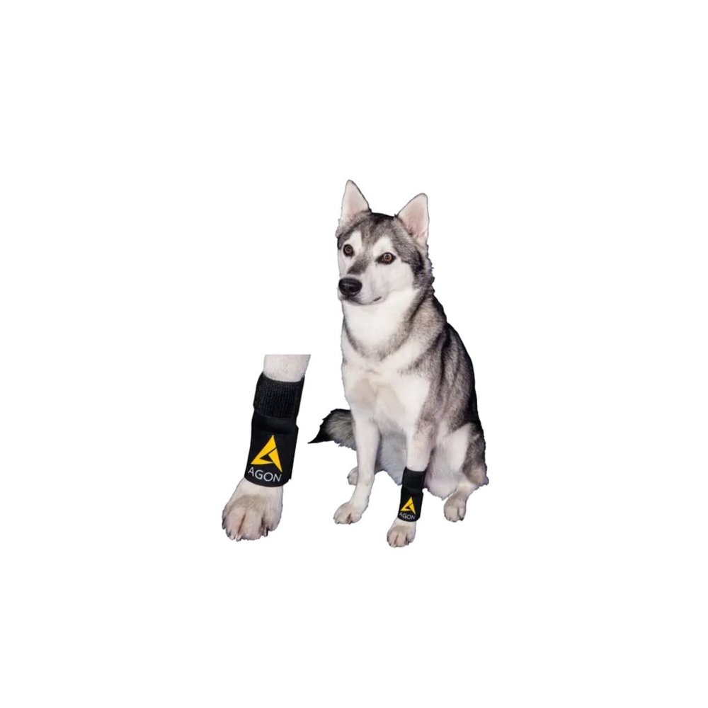 Agon® Dog Front Leg Brace Paw Compression Wraps [DS002Y] - Picture 6 of 11